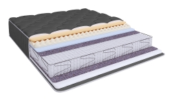  Privat Light S1200 - 1 (,  1)